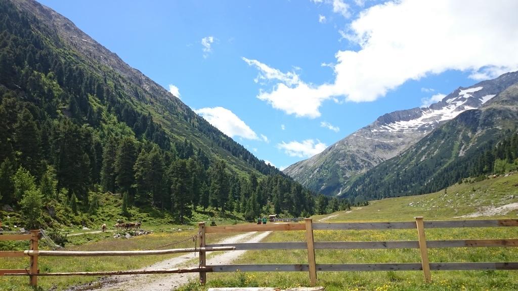 Hotel Eckartauerhof Mayrhofen Eksteriør billede