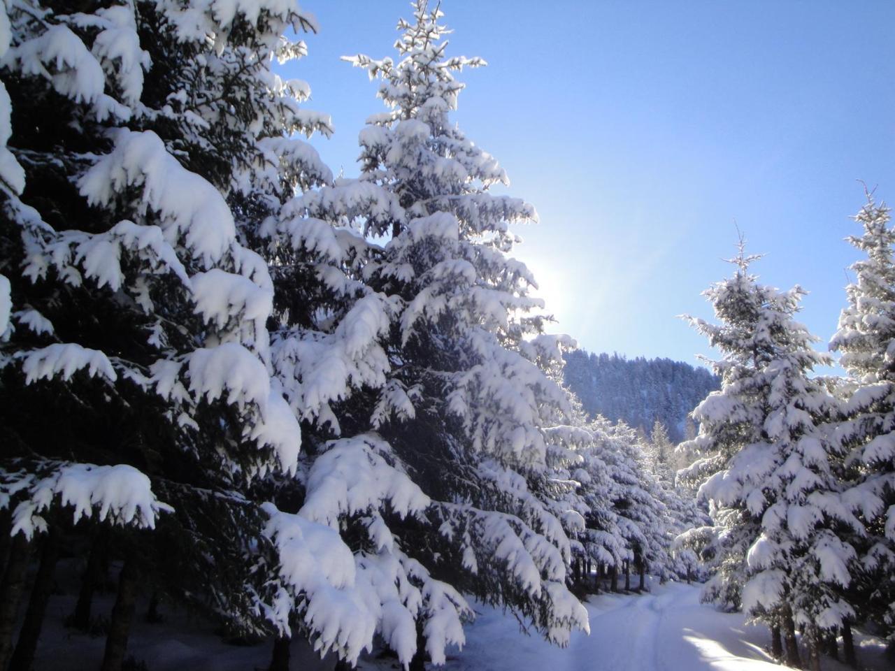 Hotel Eckartauerhof Mayrhofen Eksteriør billede