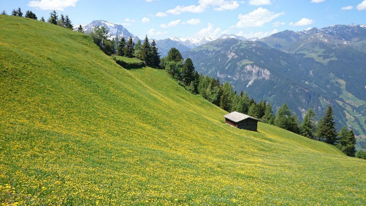 Hotel Eckartauerhof Mayrhofen Eksteriør billede